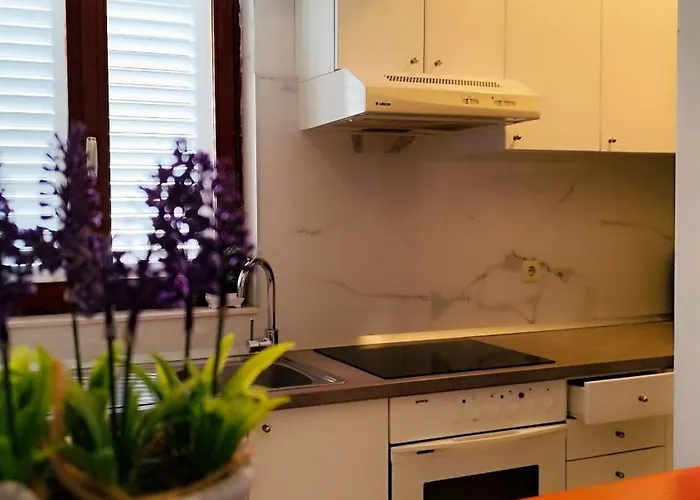 Beus-five Min Form The Apartament *