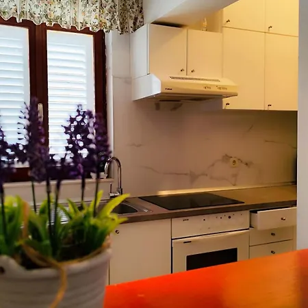 Beus Apartment *