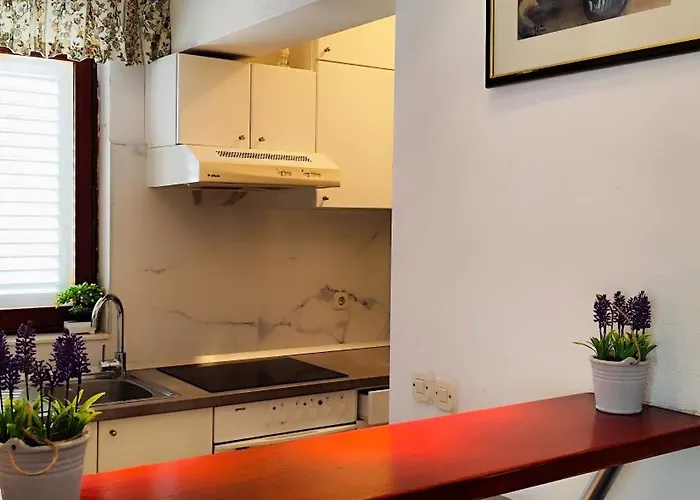 Beus-five Min Form The